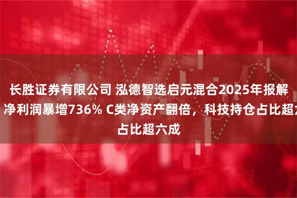 长胜证券有限公司 泓德智选启元混合2025年报解读：净利润暴增736% C类净资产翻倍，科技持仓占比超六成